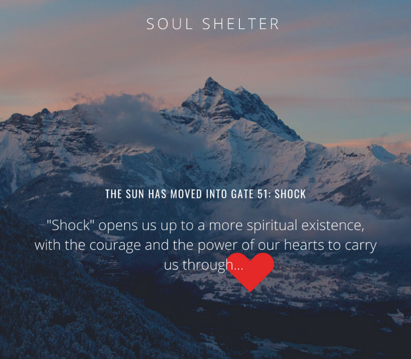 Soul Shelter gate 51 shock