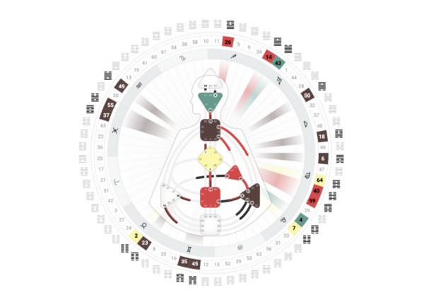 Marije Miller Human Design I program graphic