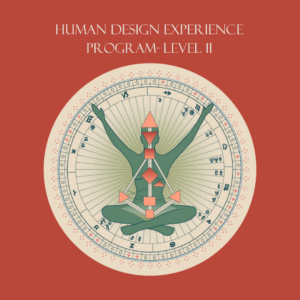 Human Design program level 2